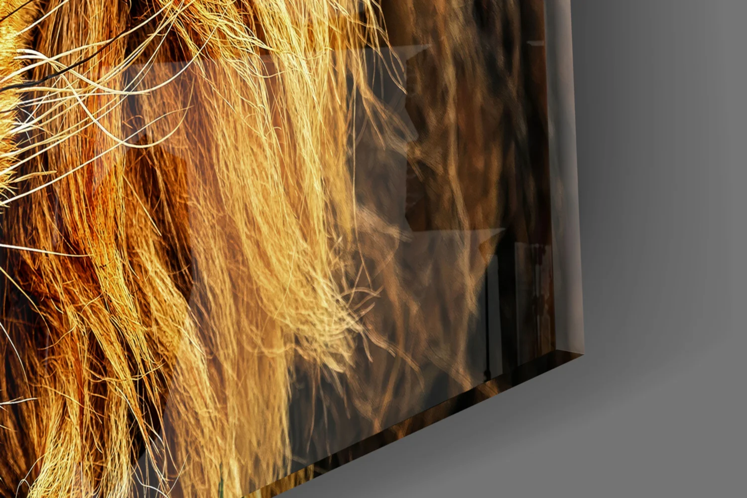 Lion Glass Wall Art - Image 7